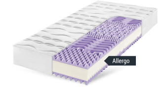 Allergiker