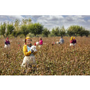 Baumwoll Sommer Bettdecke - Leicht Steppbett - Garanta Baumwolle KBA 155x220 cm