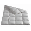 Daunen-Bettdecke - Extra-Warmes Kassettenbett - Winter...