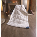 Daunen-Bettdecke - Leicht Kassettenbett - Sommer-Bettdecke - Häussling Hjemme Hygge 90er