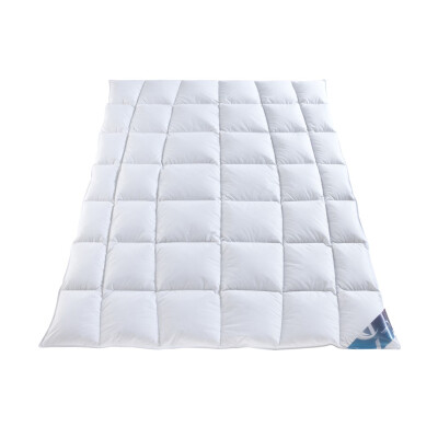 Daunen-Bettdecke - Leicht Kassettenbett - Sommer-Bettdecke - Häussling Hjemme Hygge 90er 135x200 cm,