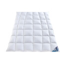 Daunen-Bettdecke - Leicht Kassettenbett - Sommer-Bettdecke - Häussling Hjemme Hygge 90er 135x200 cm,