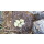 Eiderdaunen Winter Bettdecke - Warmes Kassettenbett - Luxusbettdecken