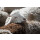 Kaschmir-Flaum Ganzjahres Bettdecke - Duo-Leicht Steppbett - Luxusbettdecken 135x200 cm