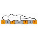 Tonnentaschenfederkern Matratze 22 cm - TTFK 7-Zonen - f.a.n. Saphir 1.000 T 100x200 cm-H4=sehr fest
