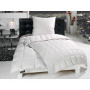 Daunen-Bettdecke - Leicht Kassettenbett - Sommer-Bettdecke - Häussling Moschus Royal 135x200 cm,
